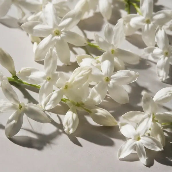 Jasmine fragrance note