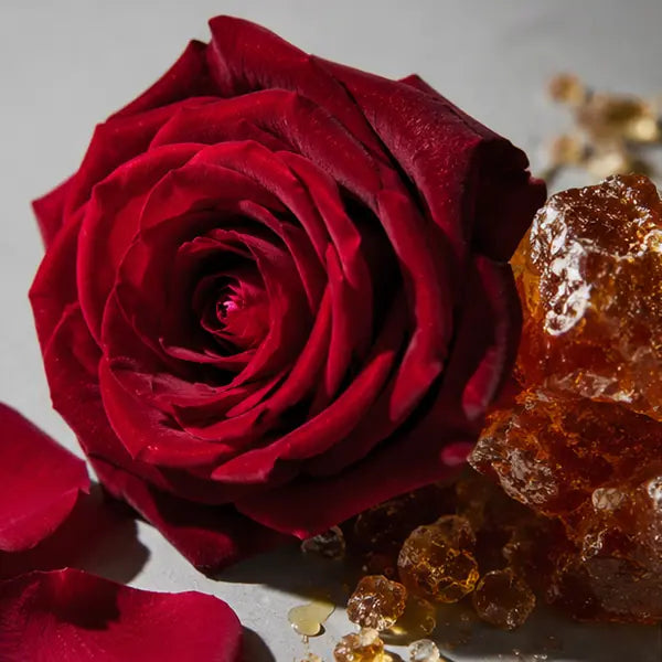 Rose Absolute fragrance note
