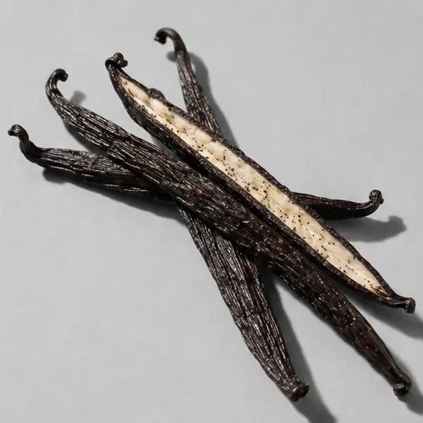 Vanilla fragrance note