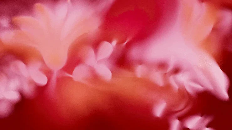 Floral Fragrances