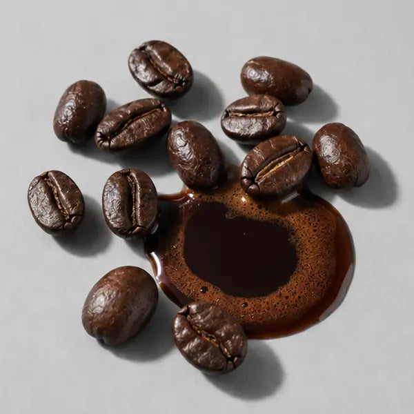 Espresso Coffee fragrance note