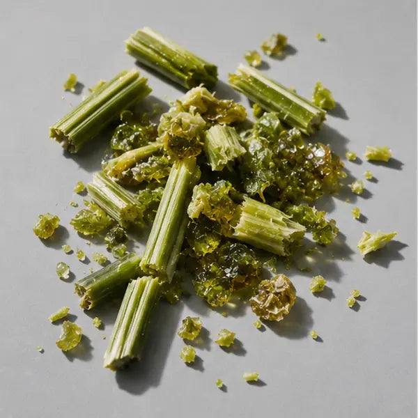 Galbanum fragrance note