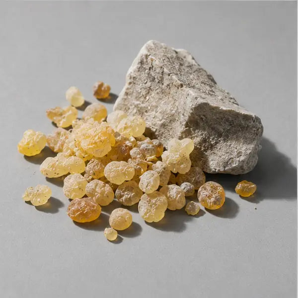 Olibanum (Frankincense) fragrance note